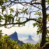 Rio 328