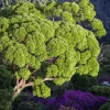 Natureza 48