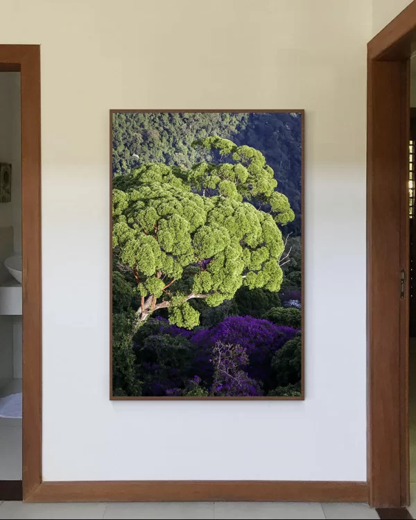 Natureza 48