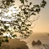 Noronha 22