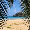 Noronha 38