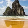 Noronha 41