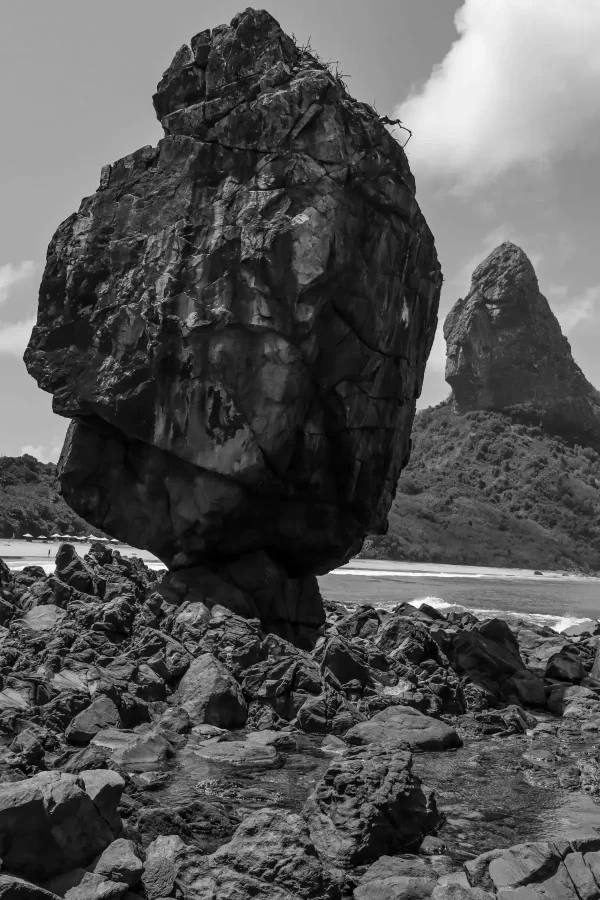 Noronha 50