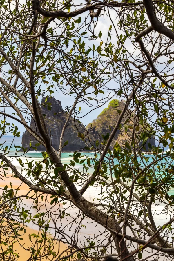 Noronha 57