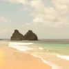 Noronha 64