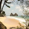 Noronha 65